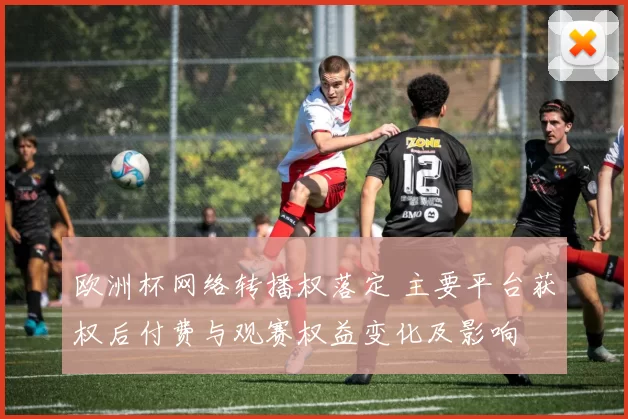 欧洲杯网络转播权落定 主要平台获权后付费与观赛权益变化及影响
