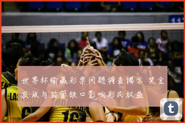 世界杯输赢彩票问题调查揭示 奖金发放与监管缺口影响彩民权益