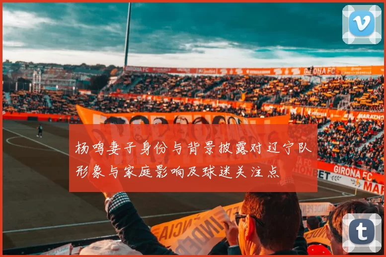 杨鸣妻子身份与背景披露对辽宁队形象与家庭影响及球迷关注点