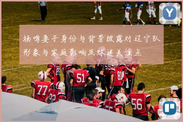 杨鸣妻子身份与背景披露对辽宁队形象与家庭影响及球迷关注点