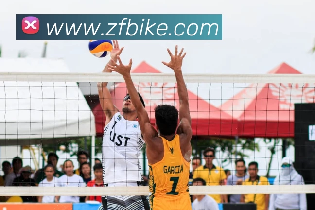 熊猫体育(中国版权)官方网站 - 最全赛事直播平台服务体系